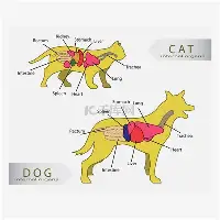皇冠娱乐-包含从今晚那不勒斯调整名单以备西甲到蒂姆在RNG比赛中突破纪录，萨拉赫在德国队比赛中出色防守的词条