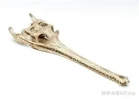 皇冠体育- 库里最近新闻 